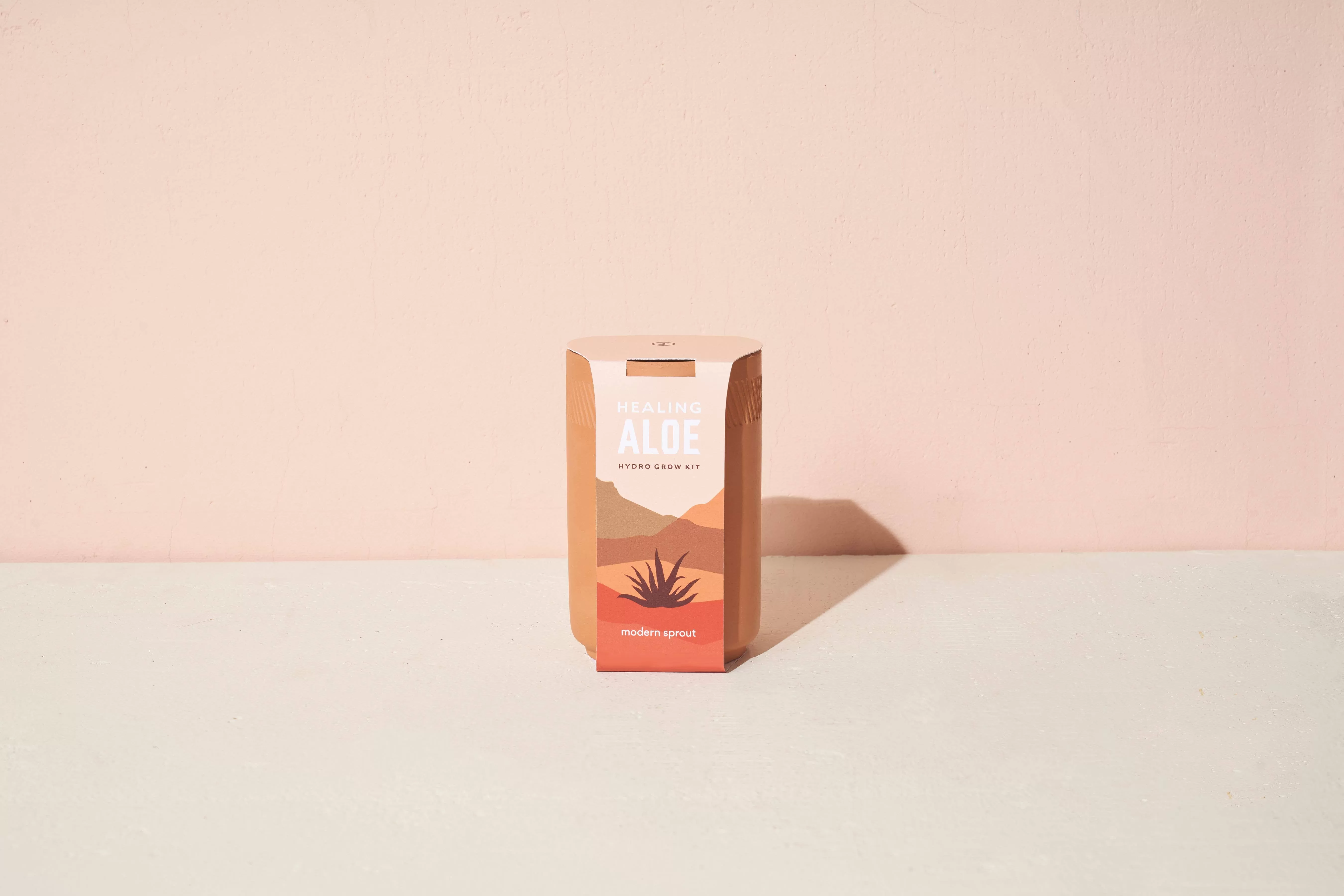 Modern Sprout - Terracotta Kit - Aloe