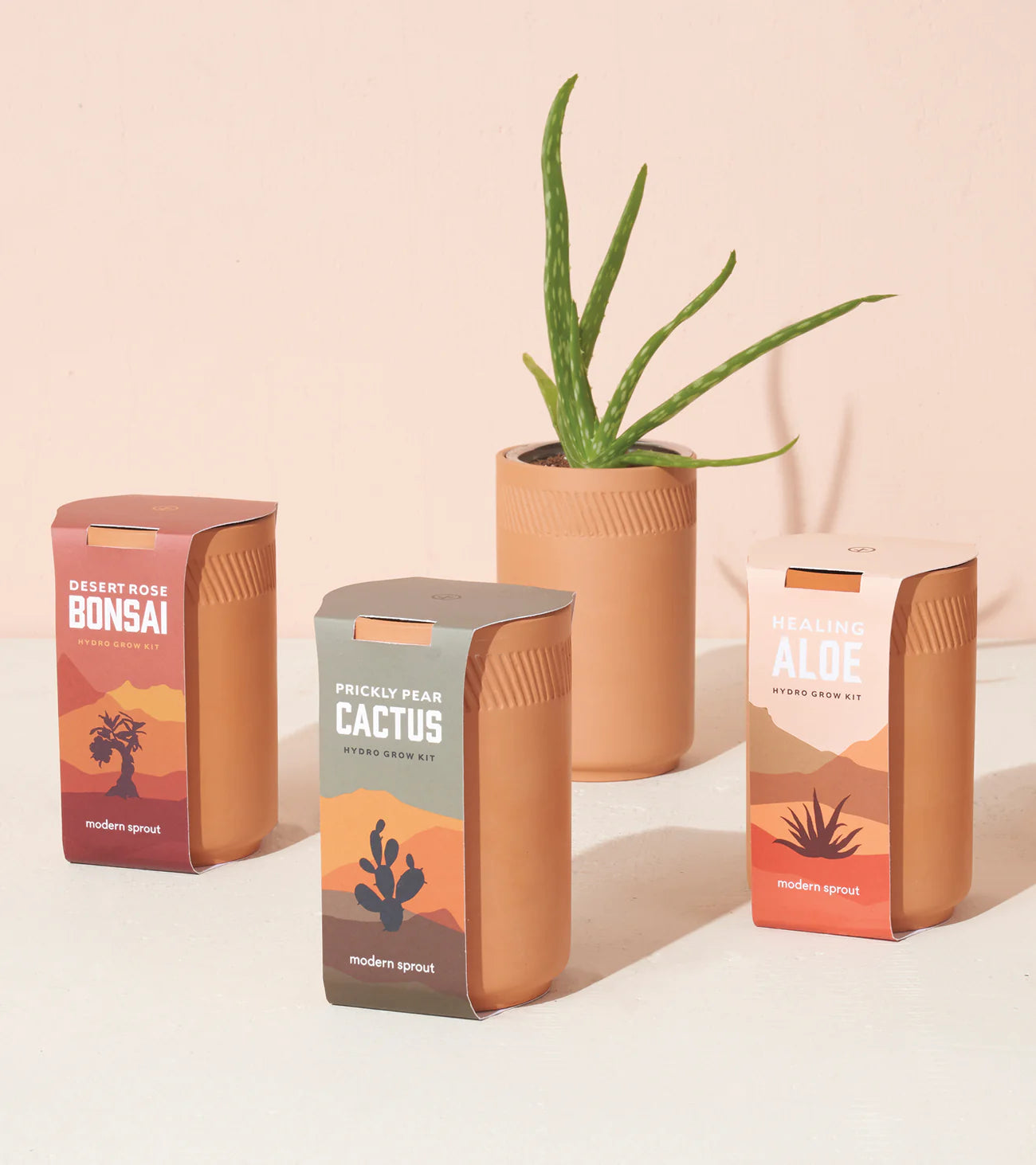 Modern Sprout - Terracotta Kit - Aloe