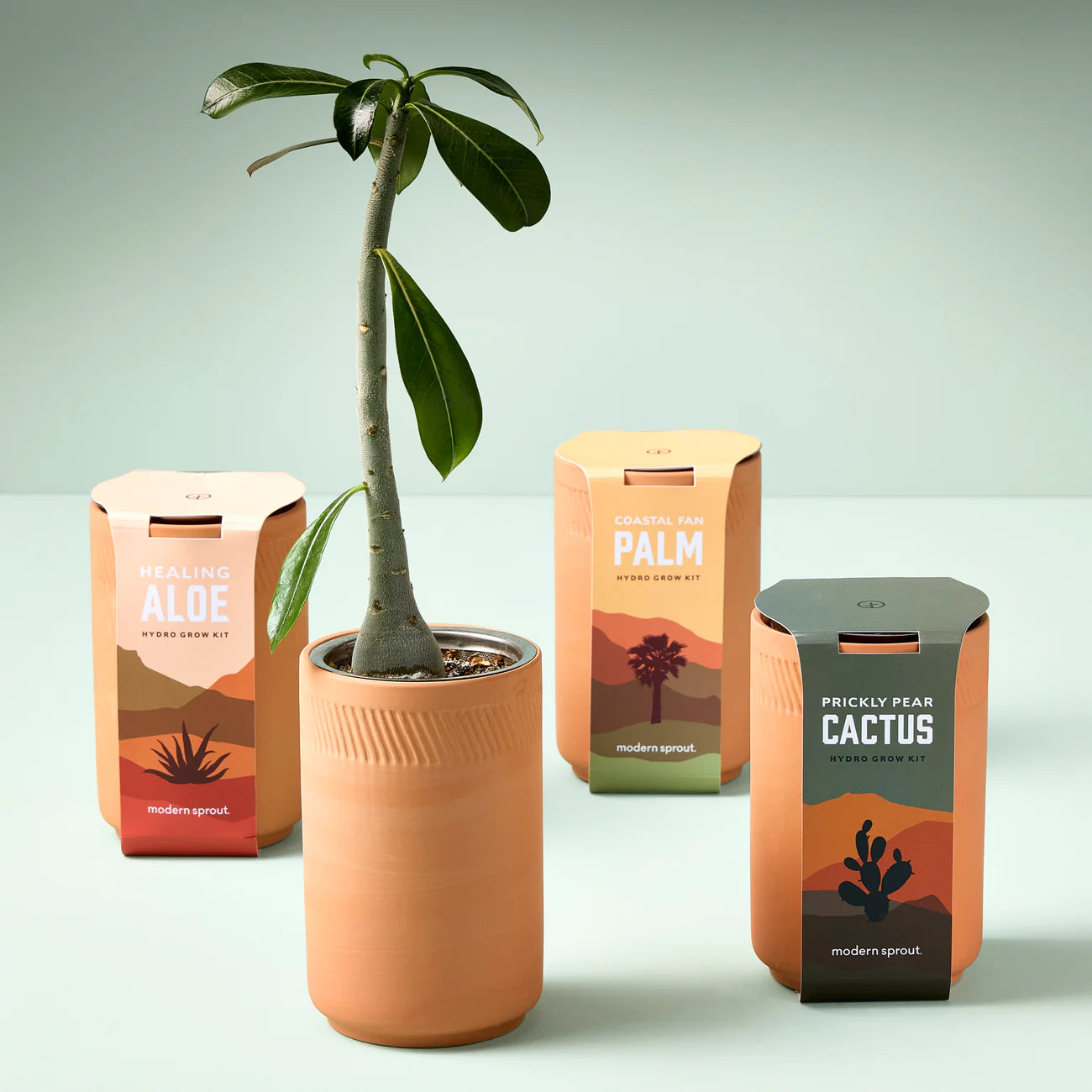 Modern Sprout - Terracotta Kit - Aloe